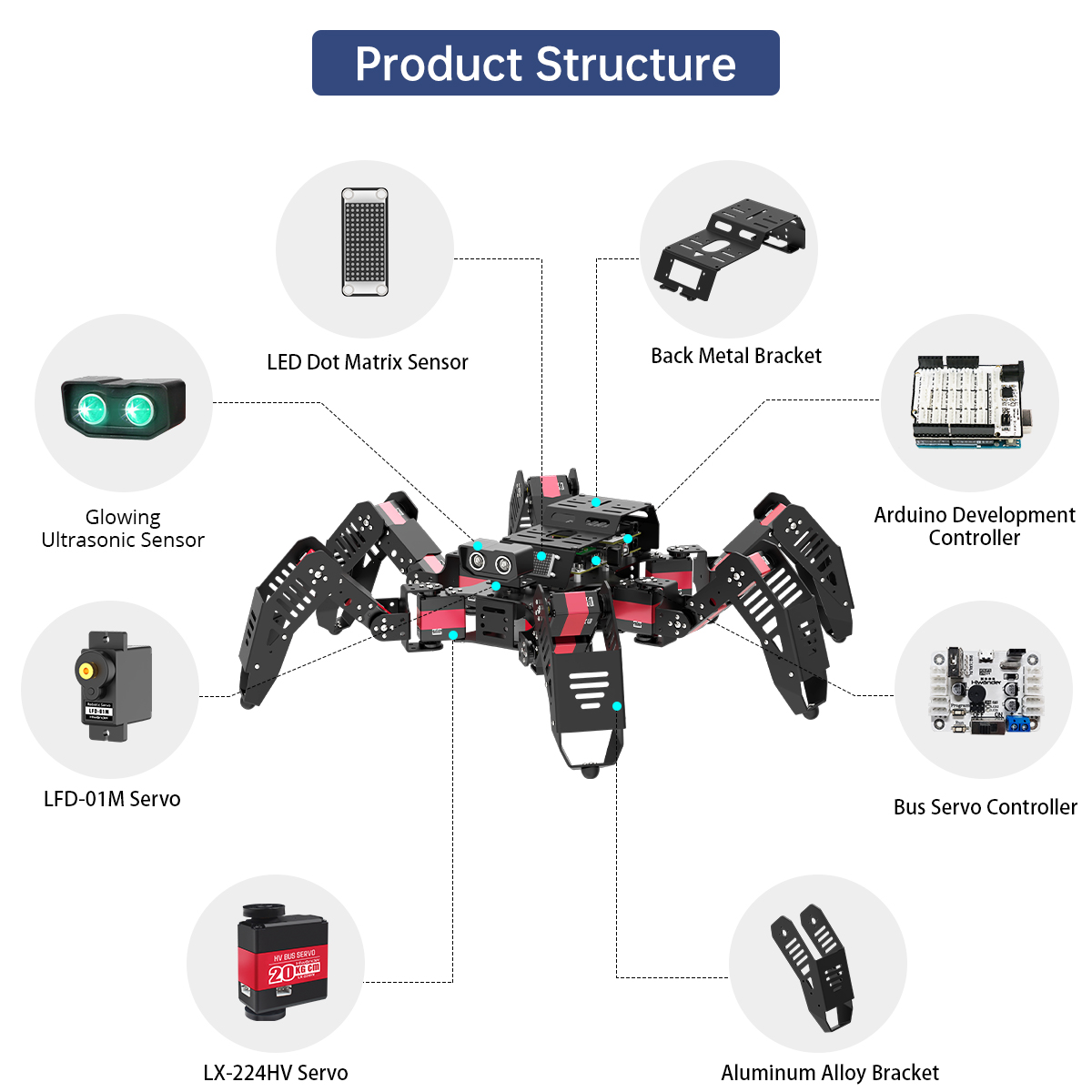 Hiwonder Spiderbot Programmabl - đánh giá và giá Robotics Kit