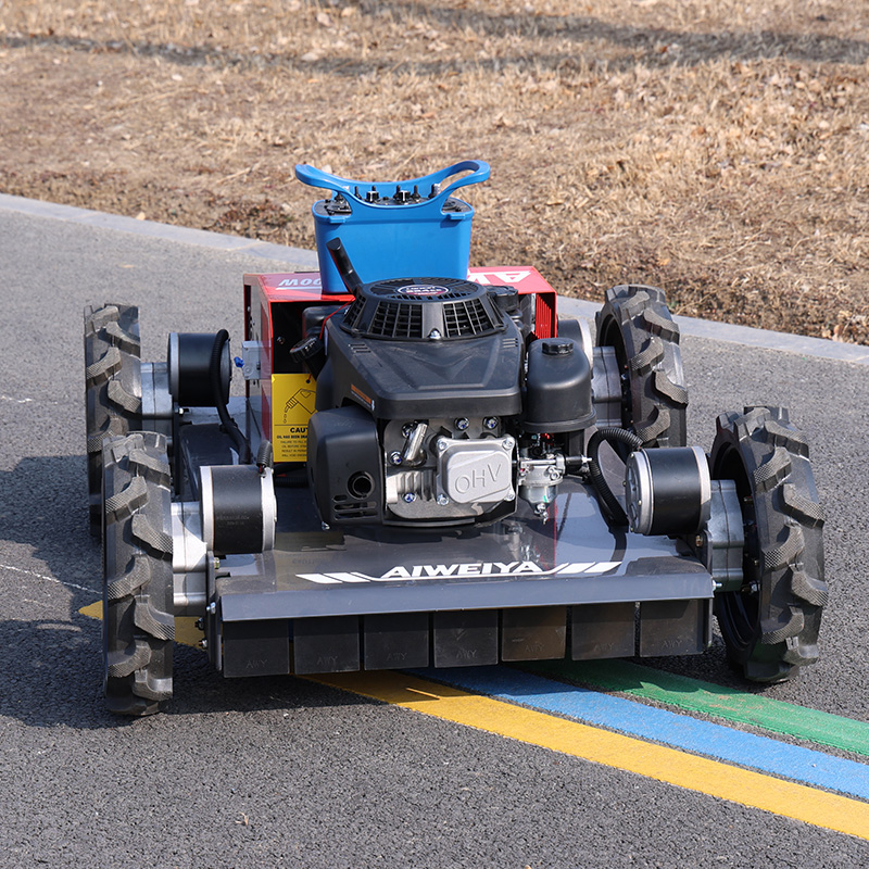 customized Remote Control Robo - đánh giá và giá Robot Wheel